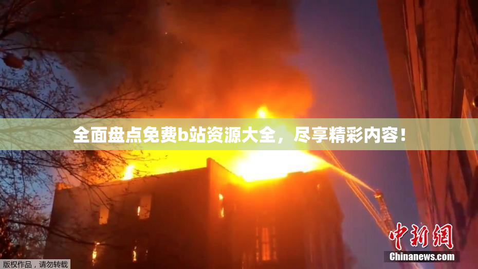 全面盘点免费b站资源大全，尽享精彩内容！