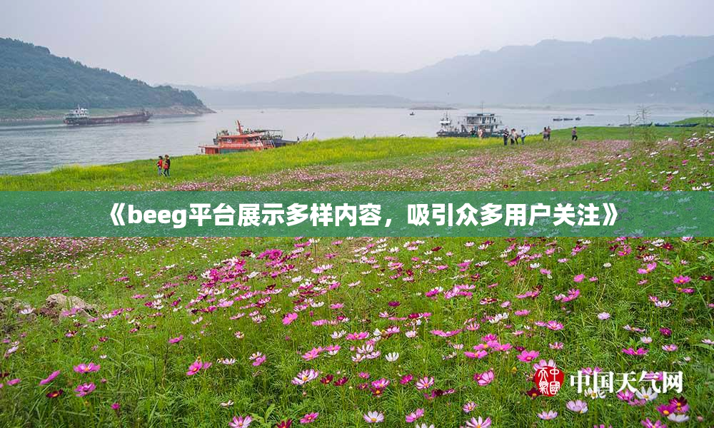 《beeg平台展示多样内容，吸引众多用户关注》