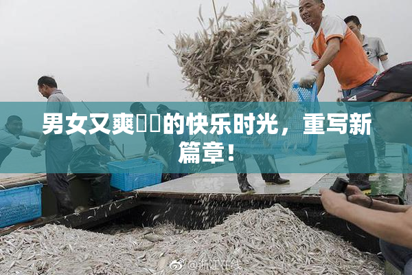 男女又爽❌‌的快乐时光，重写新篇章！