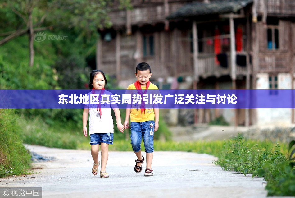 东北地区真实局势引发广泛关注与讨论