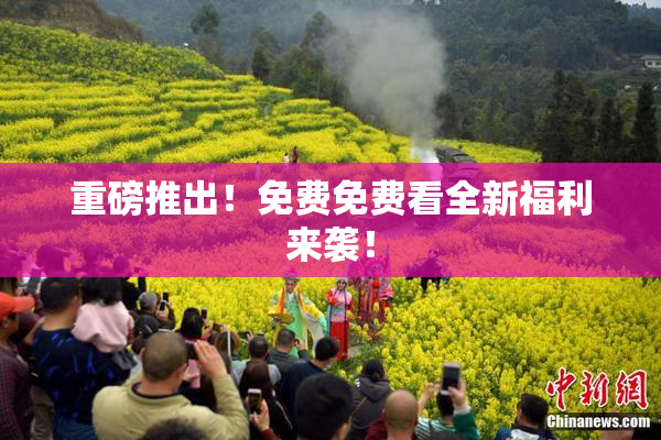 重磅推出！免费免费看全新福利来袭！