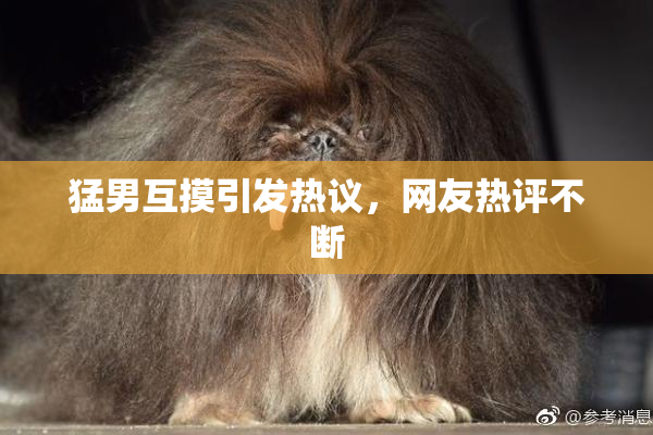猛男互摸引发热议，网友热评不断