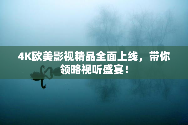 4K欧美影视精品全面上线，带你领略视听盛宴！