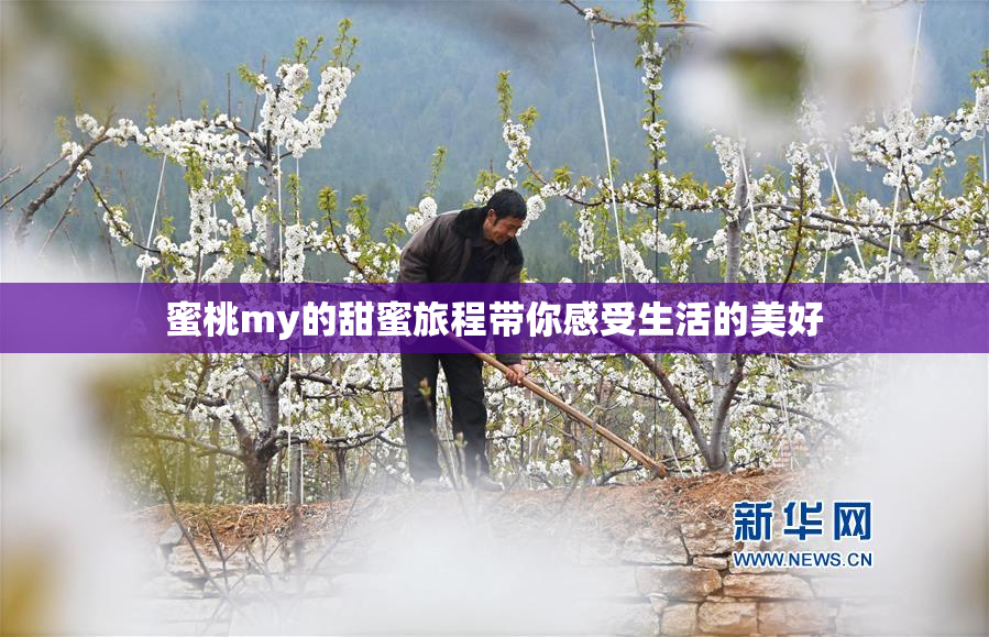 蜜桃my的甜蜜旅程带你感受生活的美好