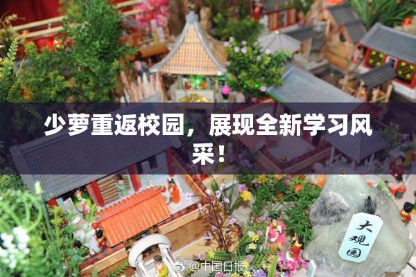 少萝重返校园，展现全新学习风采！