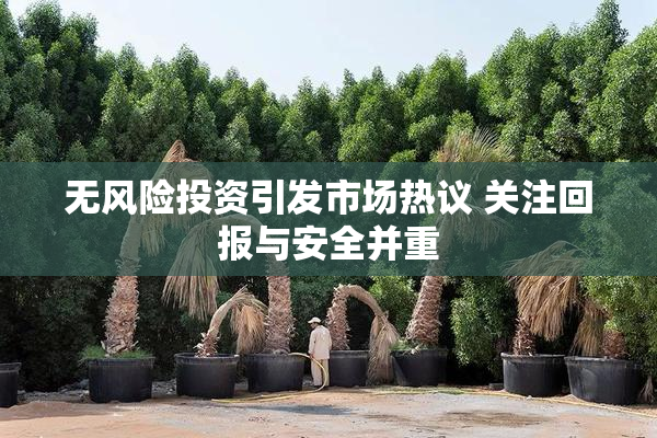 无风险投资引发市场热议 关注回报与安全并重