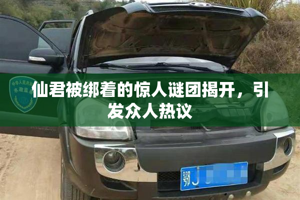 仙君被绑着的惊人谜团揭开，引发众人热议