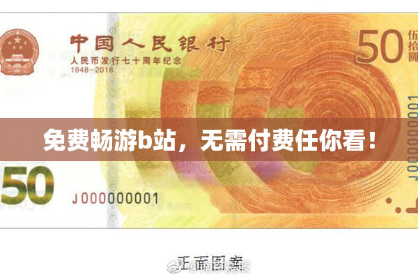 免费畅游b站，无需付费任你看！