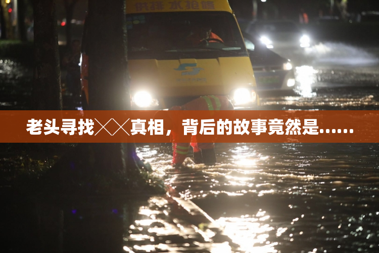 老头寻找╳╳真相，背后的故事竟然是……