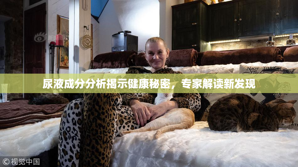 尿液成分分析揭示健康秘密，专家解读新发现