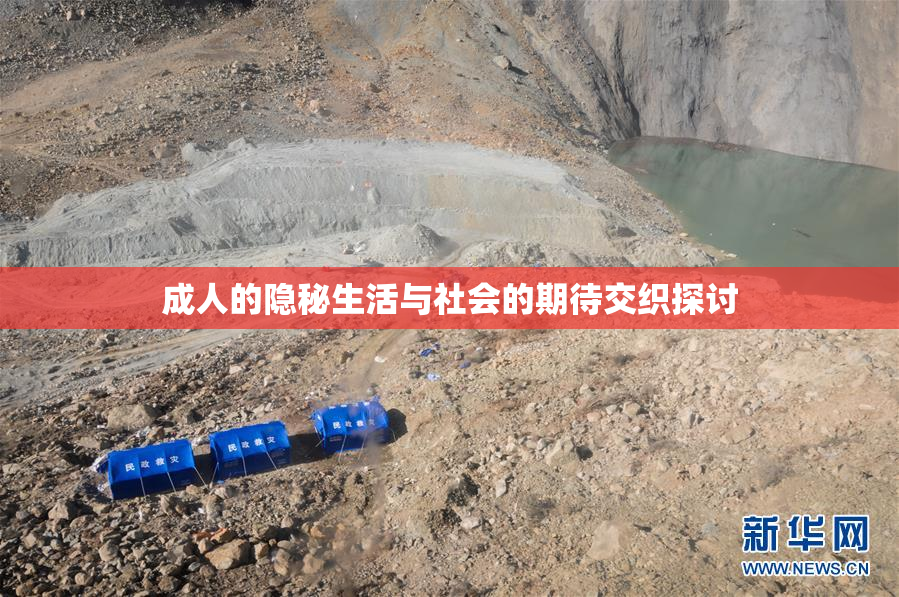 成人的隐秘生活与社会的期待交织探讨