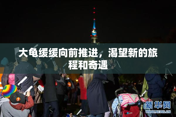 大龟缓缓向前推进，渴望新的旅程和奇遇