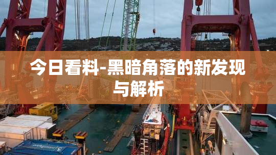 今日看料-黑暗角落的新发现与解析