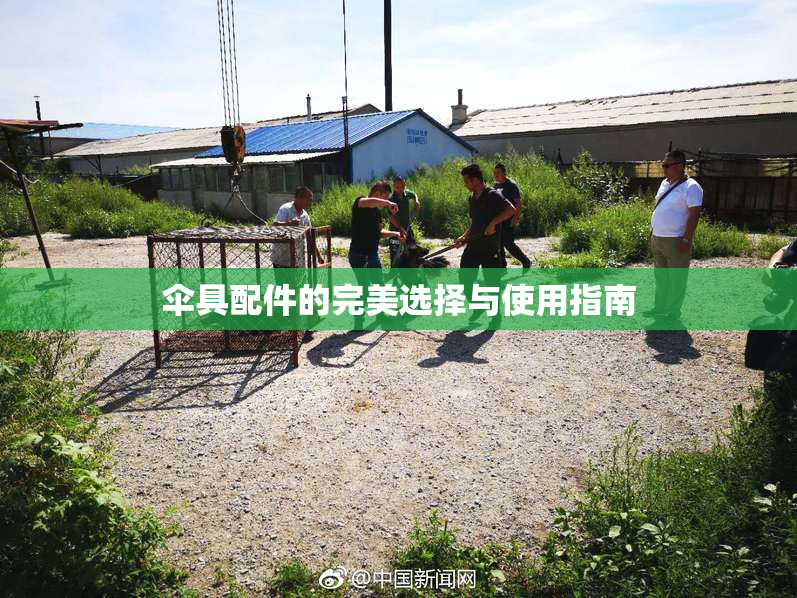 伞具配件的完美选择与使用指南