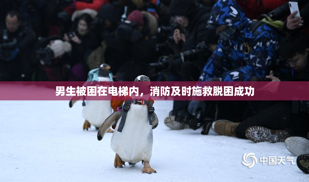 男生被困在电梯内，消防及时施救脱困成功