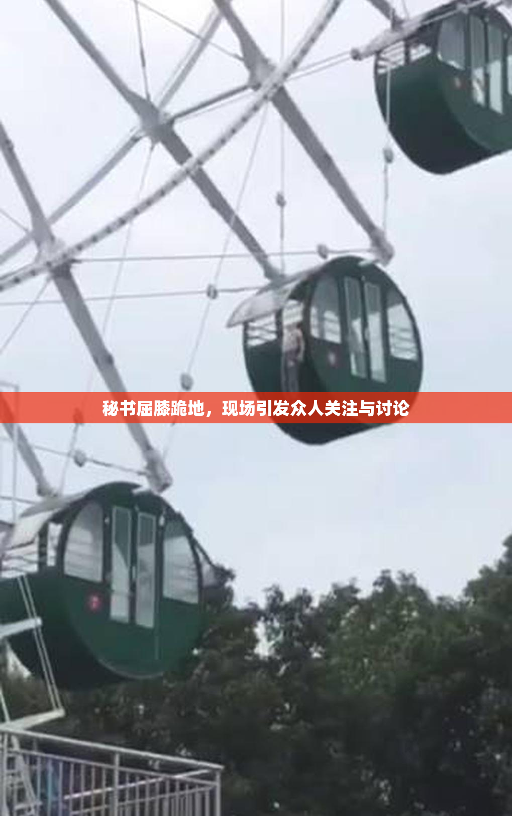 秘书屈膝跪地，现场引发众人关注与讨论