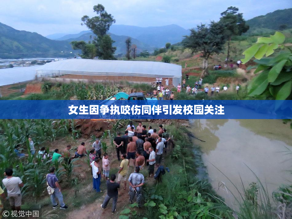 女生因争执咬伤同伴引发校园关注