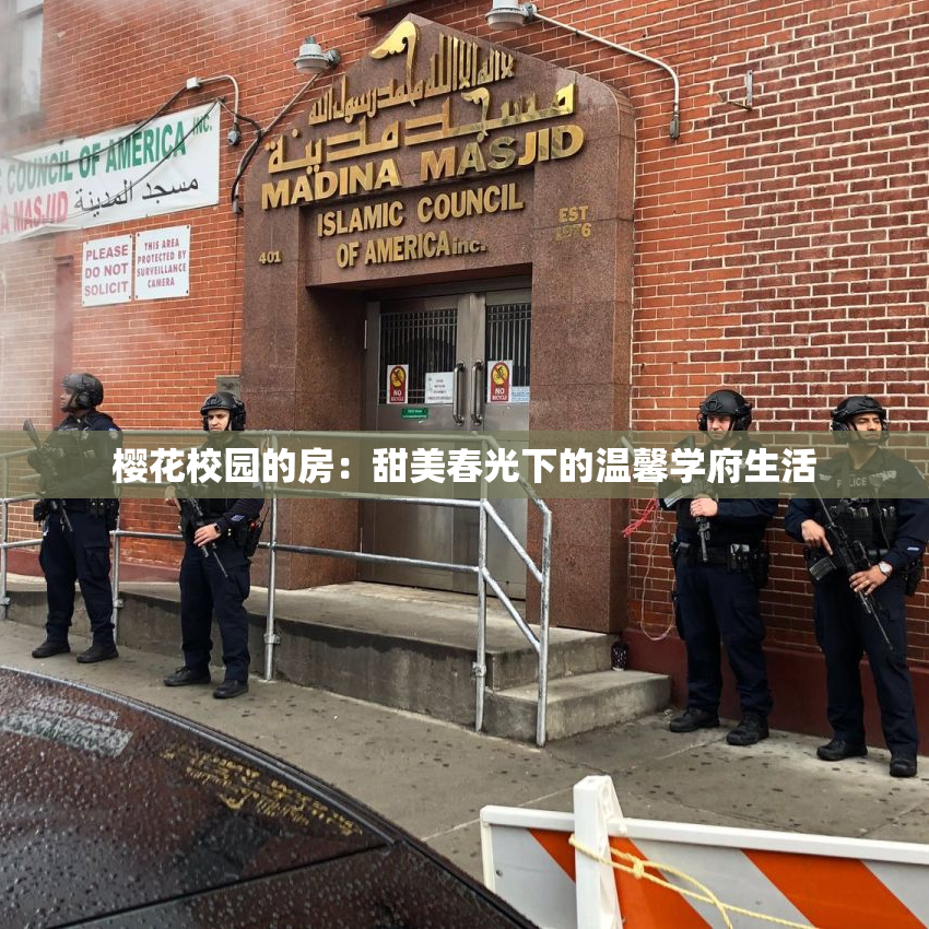 樱花校园的房：甜美春光下的温馨学府生活