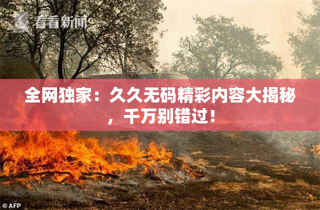 全网独家：久久无码精彩内容大揭秘，千万别错过！