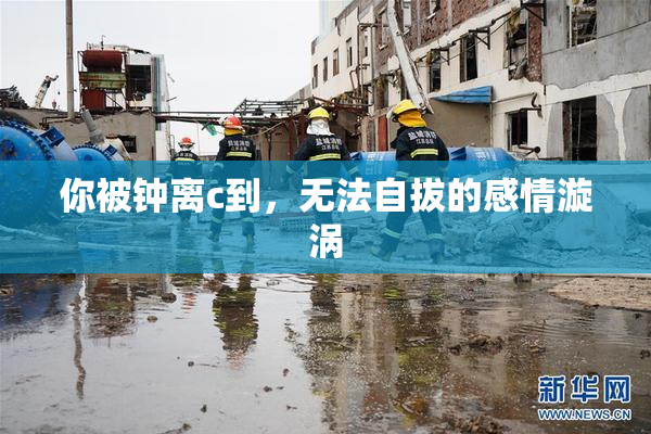 你被钟离c到，无法自拔的感情漩涡