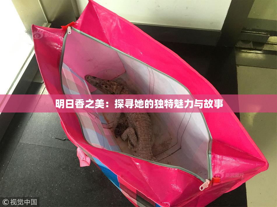 明日香之美：探寻她的独特魅力与故事