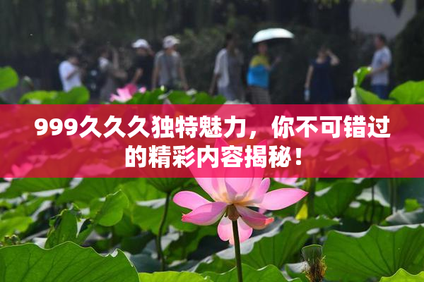 999久久久独特魅力，你不可错过的精彩内容揭秘！