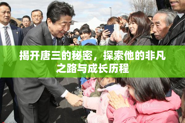揭开唐三的秘密，探索他的非凡之路与成长历程