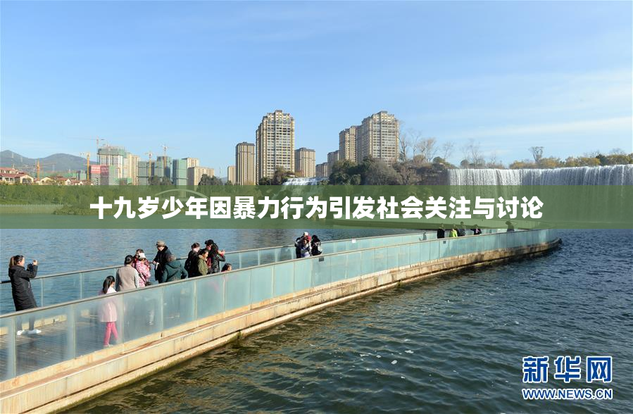 十九岁少年因暴力行为引发社会关注与讨论