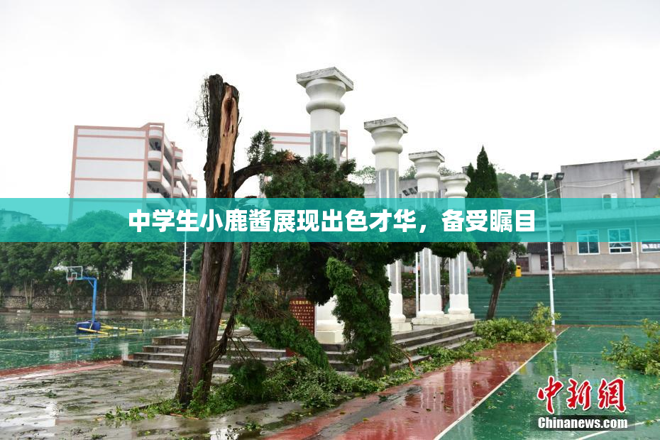 中学生小鹿酱展现出色才华，备受瞩目