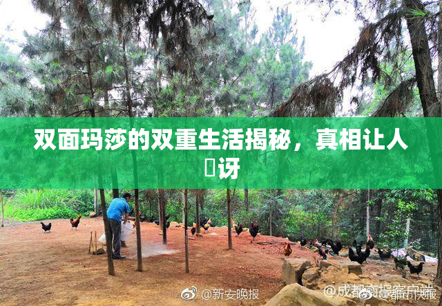 双面玛莎的双重生活揭秘，真相让人驚讶