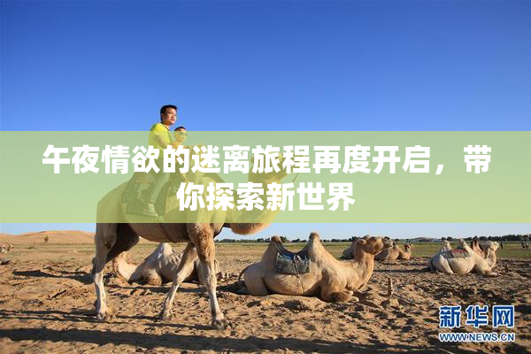 午夜情欲的迷离旅程再度开启，带你探索新世界
