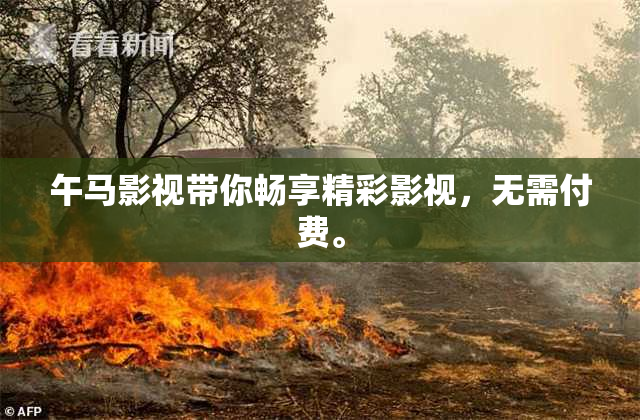 午马影视带你畅享精彩影视，无需付费。