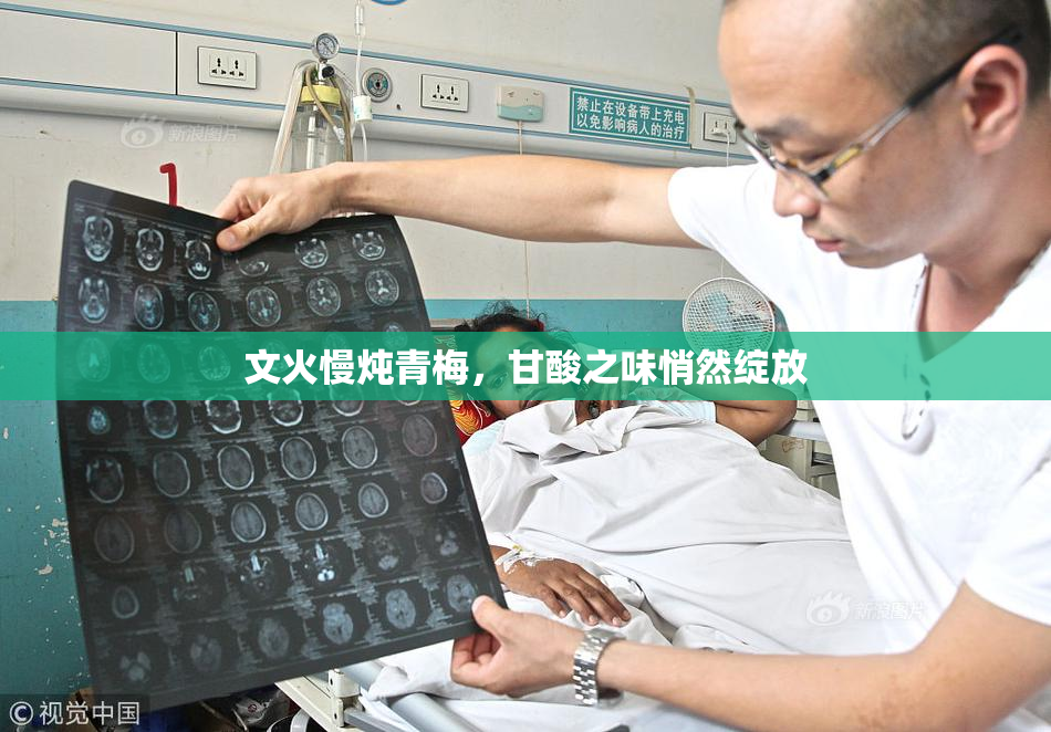 文火慢炖青梅，甘酸之味悄然绽放