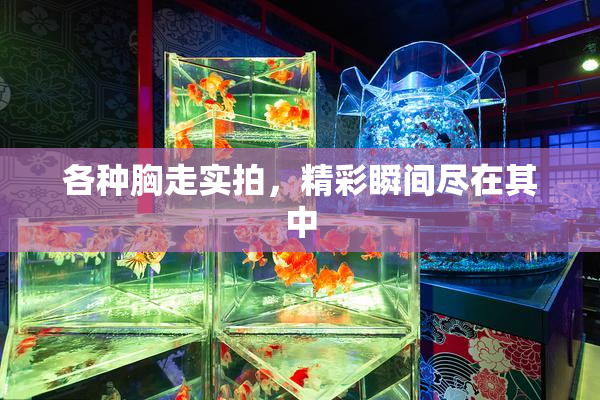 各种胸走实拍，精彩瞬间尽在其中