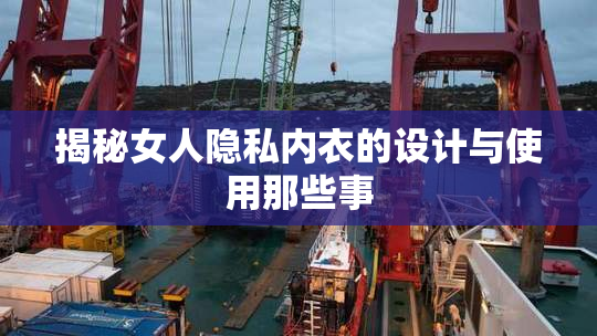 揭秘女人隐私内衣的设计与使用那些事