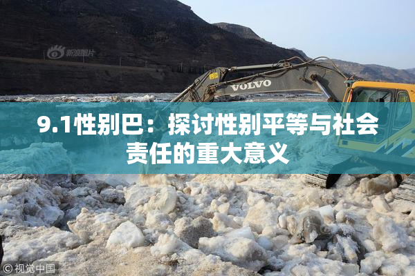 9.1性别巴：探讨性别平等与社会责任的重大意义