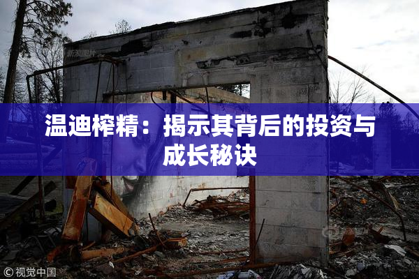 温迪榨精：揭示其背后的投资与成长秘诀