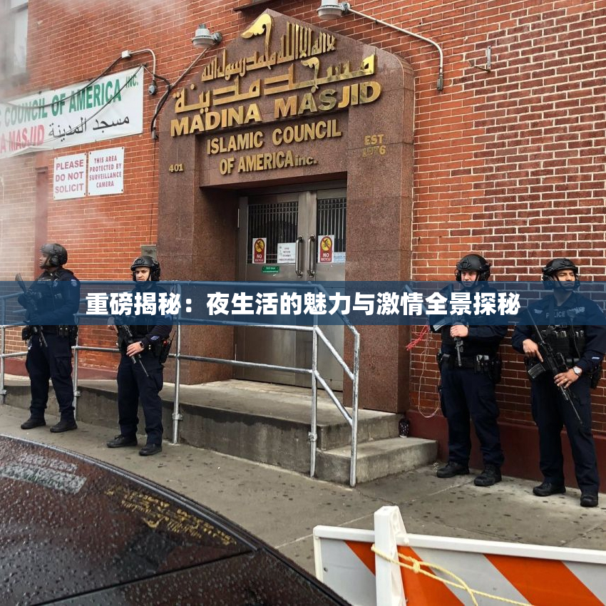 重磅揭秘：夜生活的魅力与激情全景探秘