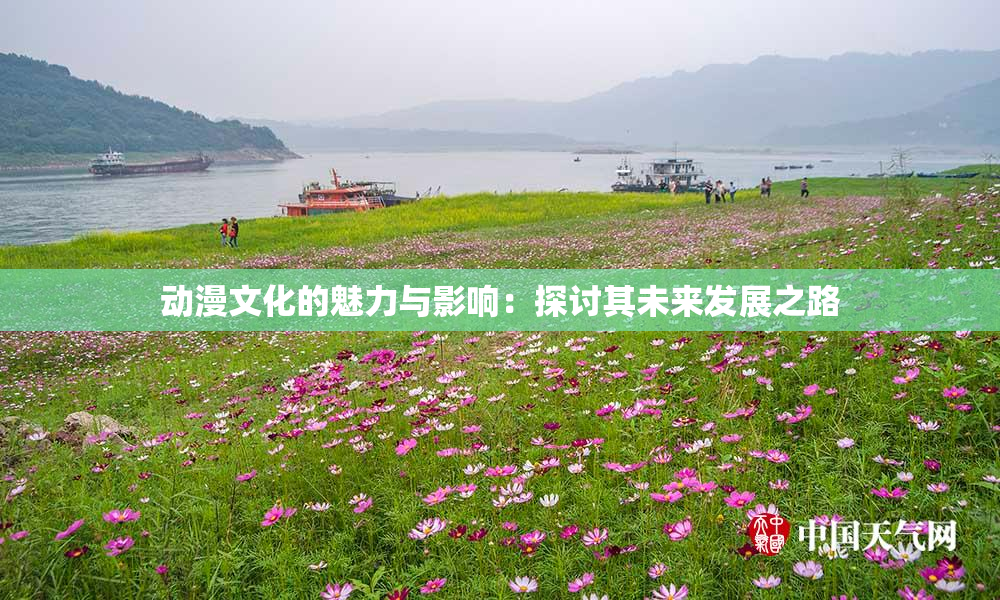 动漫文化的魅力与影响：探讨其未来发展之路