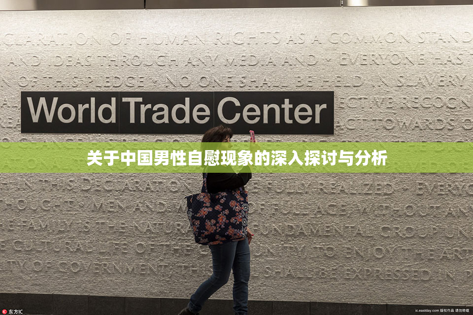 关于中国男性自慰现象的深入探讨与分析