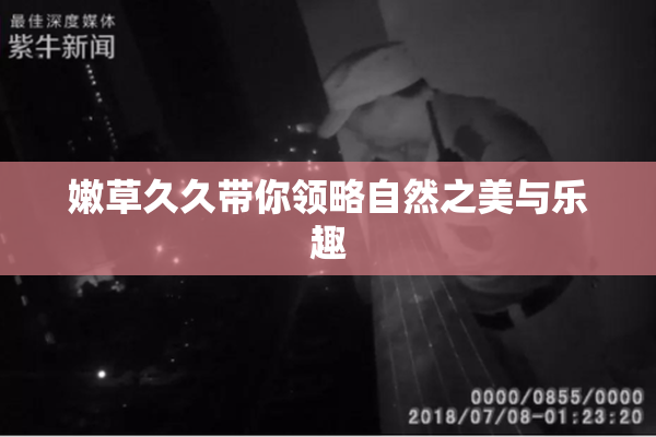 嫩草久久带你领略自然之美与乐趣