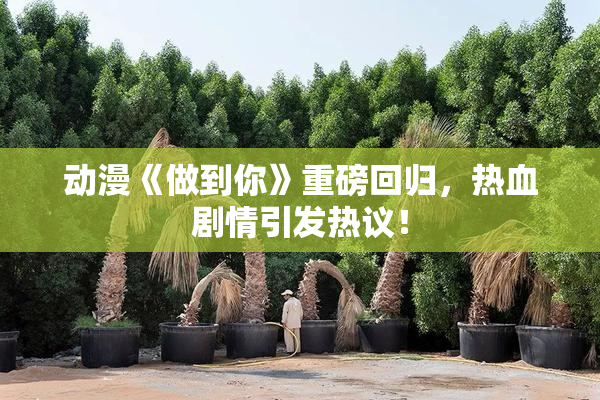 动漫《做到你》重磅回归，热血剧情引发热议！