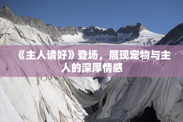 《主人请好》登场，展现宠物与主人的深厚情感