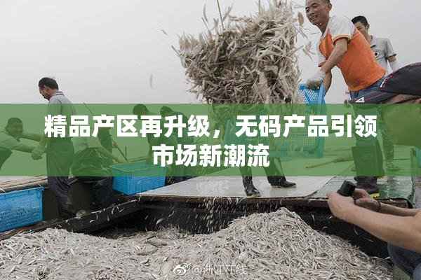 精品产区再升级，无码产品引领市场新潮流