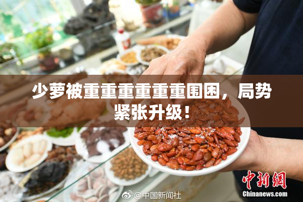 少萝被重重重重重重围困，局势紧张升级！