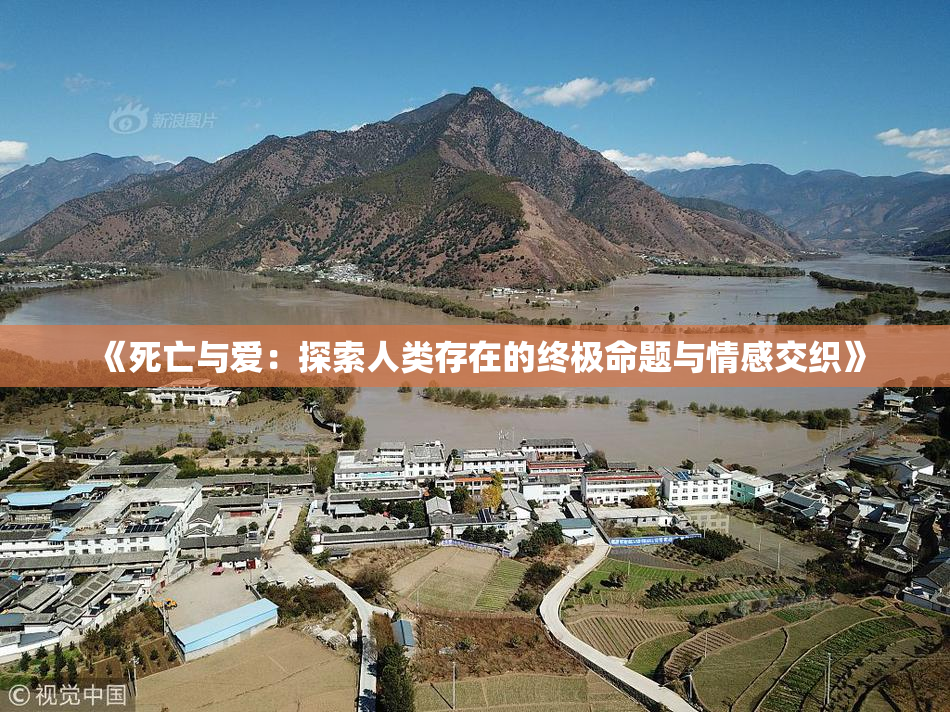 《死亡与爱：探索人类存在的终极命题与情感交织》