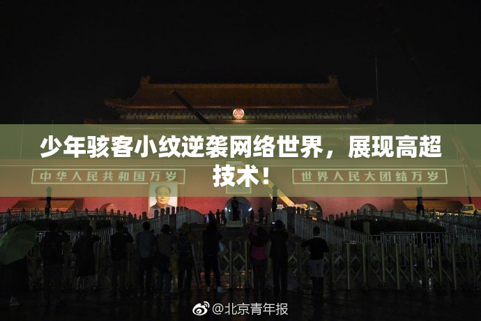 少年骇客小纹逆袭网络世界，展现高超技术！