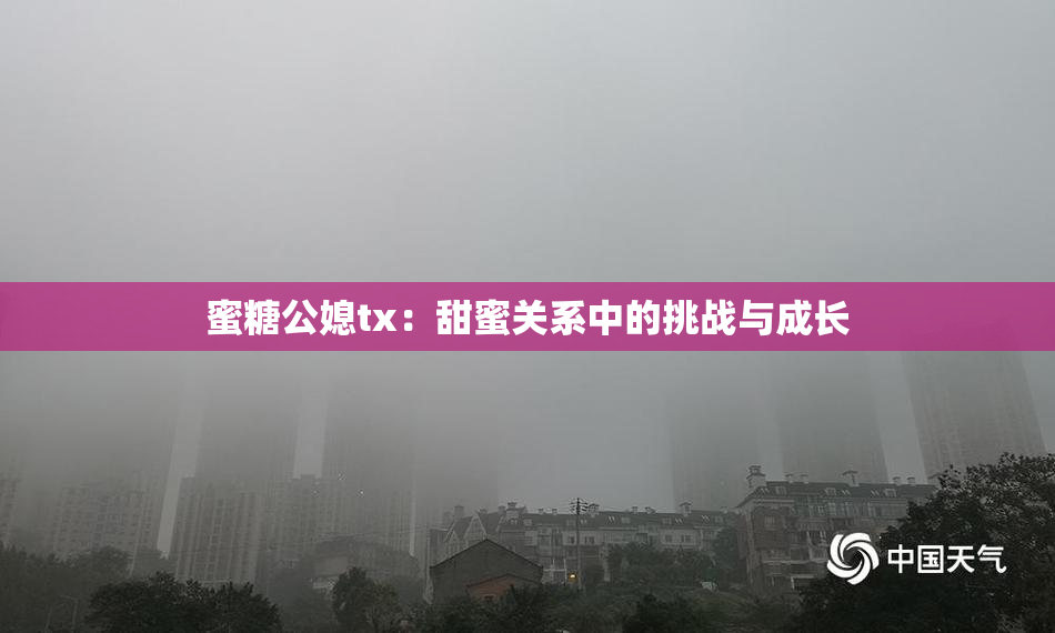 蜜糖公媳tx：甜蜜关系中的挑战与成长