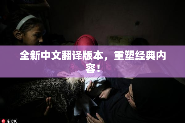 全新中文翻译版本，重塑经典内容！