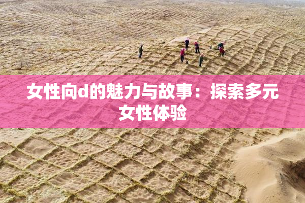 女性向d的魅力与故事：探索多元女性体验
